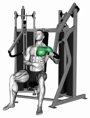 Lever Stack Seated Incline Single Arm Chest Press demo