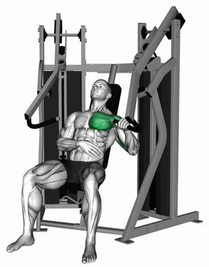 Lever Stack Seated Single Arm Chest Press demo