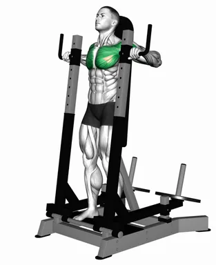 Lever Standing Chest Press demo