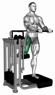 Lever Standing Leg Raise demo