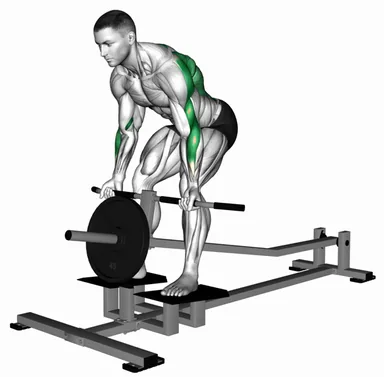 Lever T-Bar Reverse Grip Row demo