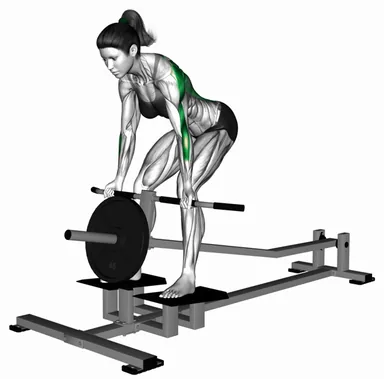Lever T-Bar Reverse Grip Row (Demo 2) demo