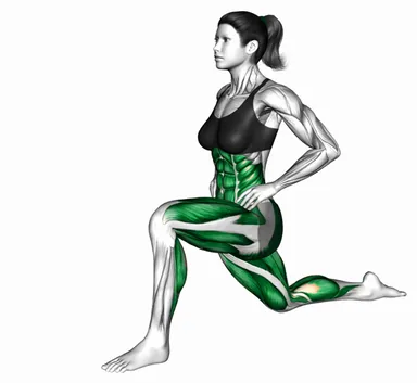 Lizard Lunge (Advanced) demo