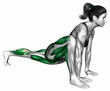 도마뱀 자세 (버전 2) 자세 시연