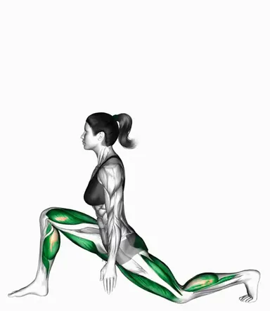 로우 투 하이 런지 자세 시연