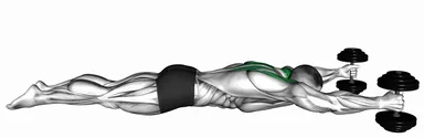 Prone Y Raise (Demo 3) demo