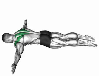 Lying Prone T Raise demo