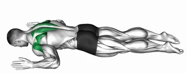 Lying Prone W Raise demo