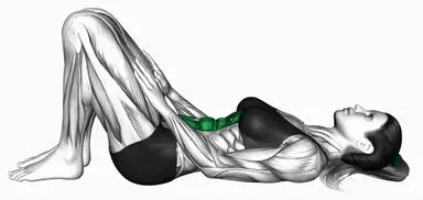 Lying Rectus Abdominis Activation Crunch demo