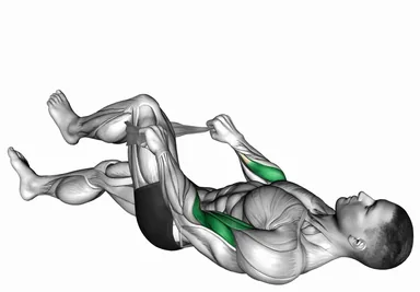 Lying Single Leg Reverse Biceps Curl with Towel demo