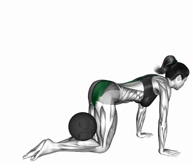 Medicine Ball Kneeling Donkey Kick demo