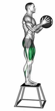 Medicine Ball Step Down demo