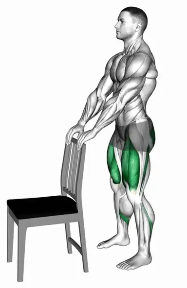 Mini Squat with a Chair demo
