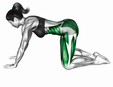 Moving Child Pose demo