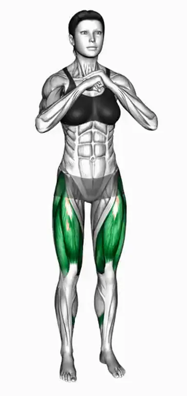 Narrow to Normal Squat demo