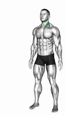 Neck Extensor And Rotational Stretch demo