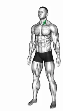 Neck Flexor And Rotational Stretch demo