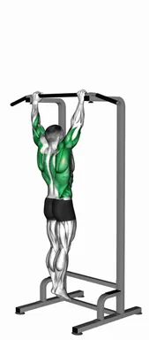 Negative Muscle Up demo