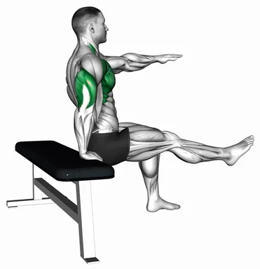 One Arm Dip demo