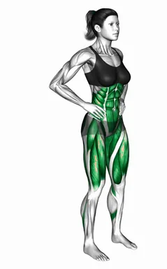 Opposite Leg Raise demo