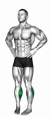 Outward Calf Raise demo