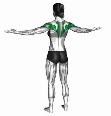 Palm Press Back demo