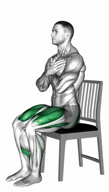 Partial Sit To Stand on a Chair demo