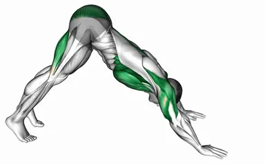 Pike to Cobra Push-Up demo