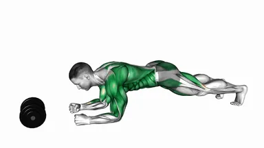 Plank Alternate Anti Gravity Pull-Up demo