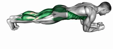 Front Plank on Elbow Toe Tap (Demo 2) demo