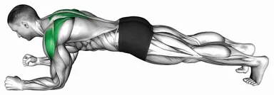 Plank Scapular Push-Up demo