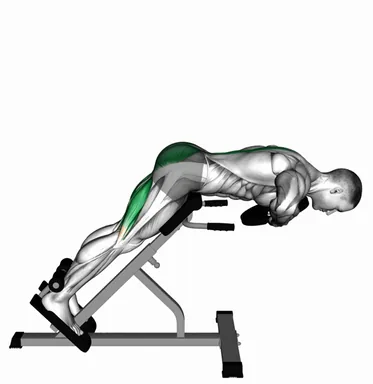 Plate Hyperextension demo