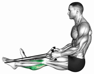 Posterior Tibialis Stretch demo