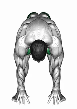 Prayer Squat Yoga Pose demo