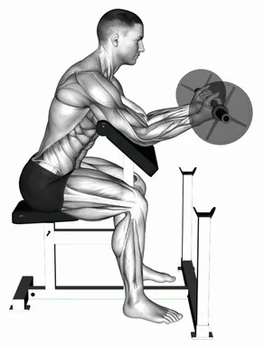 Preacher Curl Form Correction (Wrists) demo