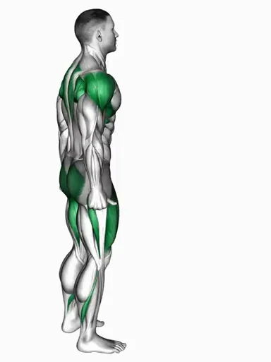 Prone I Stretch demo