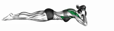 Prone Shoulder CARs demo