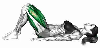 Pulsing Glute Bridge demo