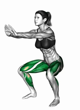 펄스 스쿼트 스텝백 자세 시연