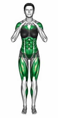 펀치 스텝백 (정면 시점) 자세 시연