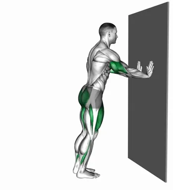 Push-Up Alternate Rear Lunge against Wall demo