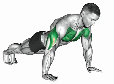 Push-up (Demo 2) demo