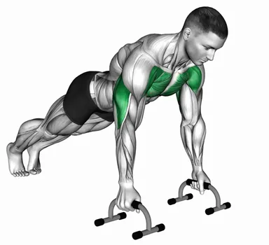 Push-up (With push-up handles) demo