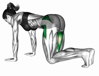 Quadruped Hip Rotation demo