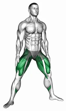 퀵 스모 스쿼트 자세 시연