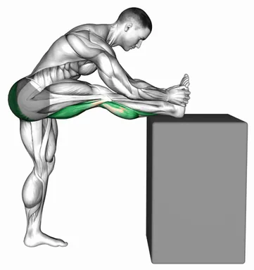 Raised Leg Knee Flexor Stretch demo
