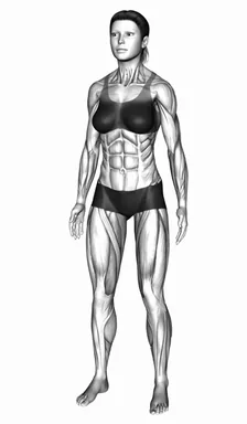 Rear Deltoid Stretch demo