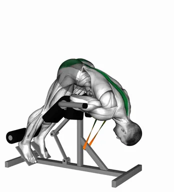 Resistance Band 45 degrees Hyperextension demo
