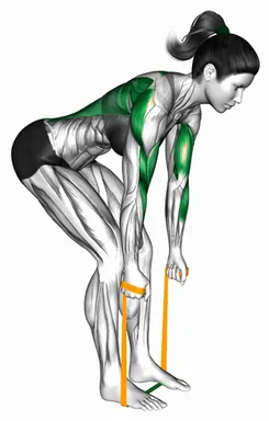 Resistance Band Bent Over Neutral Grip Row (Demo 2) demo