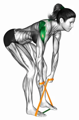 Resistance Band Bent Over Reverse Fly demo